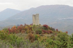 IMG_1708