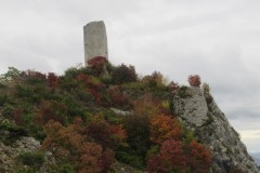 IMG_1713