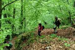 IMG-20250511-WA0013