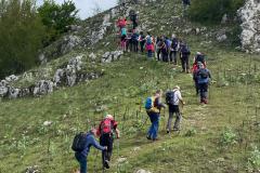 IMG-20250511-WA0074