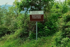IMG_20250511_091157