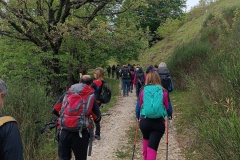 IMG_20250511_091547