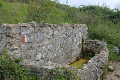 IMG_20250511_091918