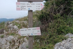 IMG_20250511_092620