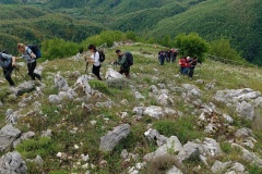 IMG_20250511_093456