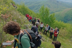 IMG_20250511_095342
