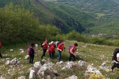 IMG_20250511_095831