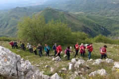 IMG_20250511_095843