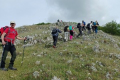 IMG_20250511_100449
