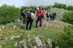 IMG_20250511_100843