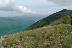 IMG_20250511_103209