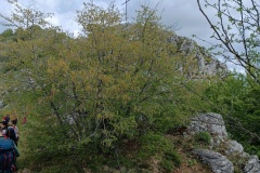 IMG_20250511_105414