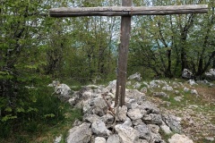 IMG_20250511_113755