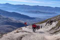 IMG-20240204-WA0014