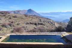 IMG-20240204-WA0020