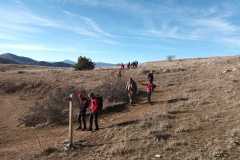 IMG-20240204-WA0024