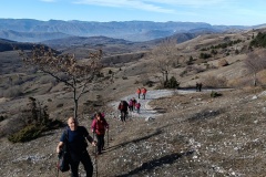 IMG_20240204_094528