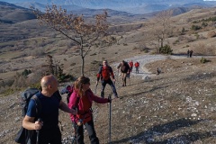 IMG_20240204_094539