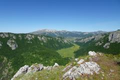 IMG-20250601-WA0016