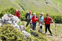 IMG-20250601-WA0018