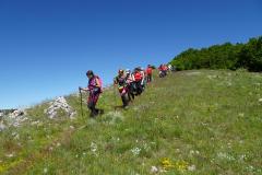 IMG-20250601-WA0026