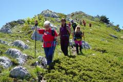 IMG-20250601-WA0037