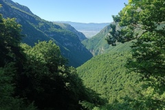 IMG_20250601_091912