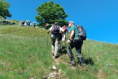 IMG_20250601_102010