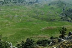 IMG_20250601_105758