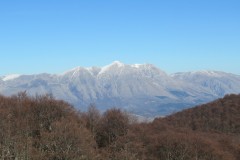 IMG_7622