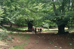 IMG_20240609_122605