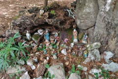 IMG_20240609_122722