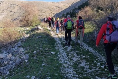 IMG_20240407_091747