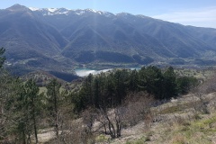 IMG_20240407_155810