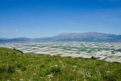 IMG-20250525-WA0078