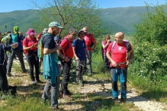 IMG_20250525_100939