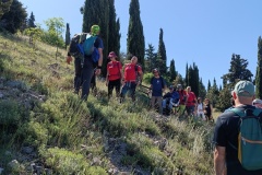 IMG_20250525_101821