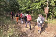 IMG-20260726-WA0028