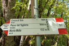 IMG_20230507_094952