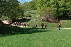 IMG_20230507_103916