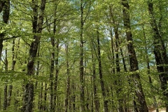 IMG_20230507_112130