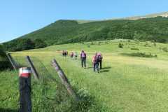 IMG-20250608-WA0009