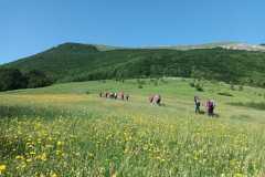 IMG-20250608-WA0010