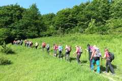 IMG-20250608-WA0011