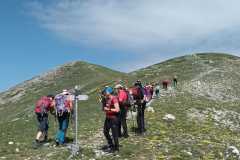 IMG-20250608-WA0012