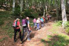 IMG-20250608-WA0013