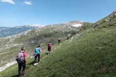 IMG-20250608-WA0029