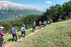 IMG-20250608-WA0033