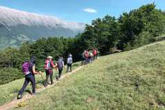 IMG-20250608-WA0034