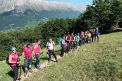IMG-20250608-WA0035